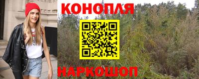 сатива Жуковский