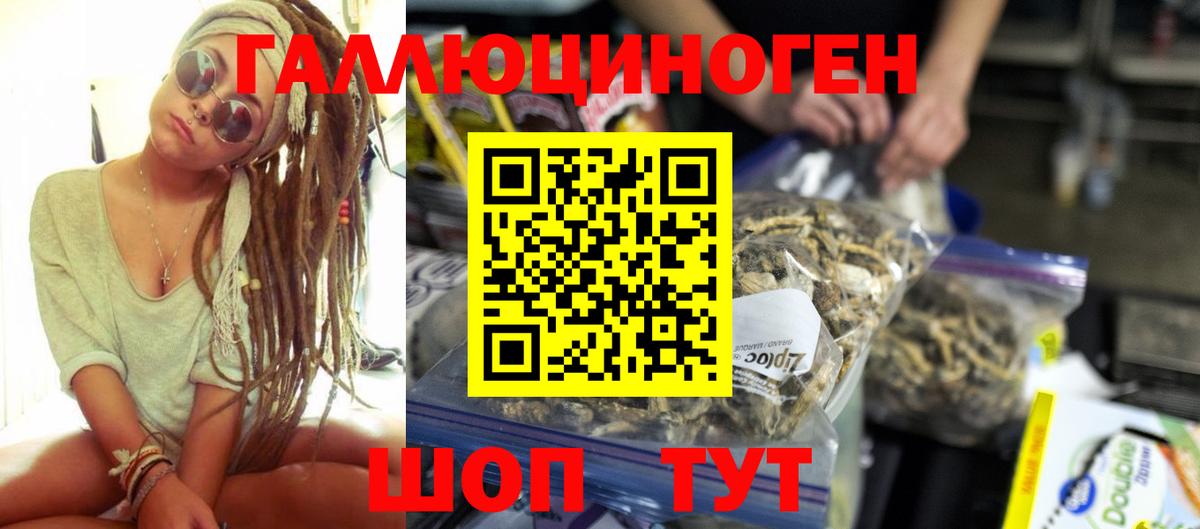 Майкоп  Псилоцибиновые грибы ЛСД  Вход с VPN 