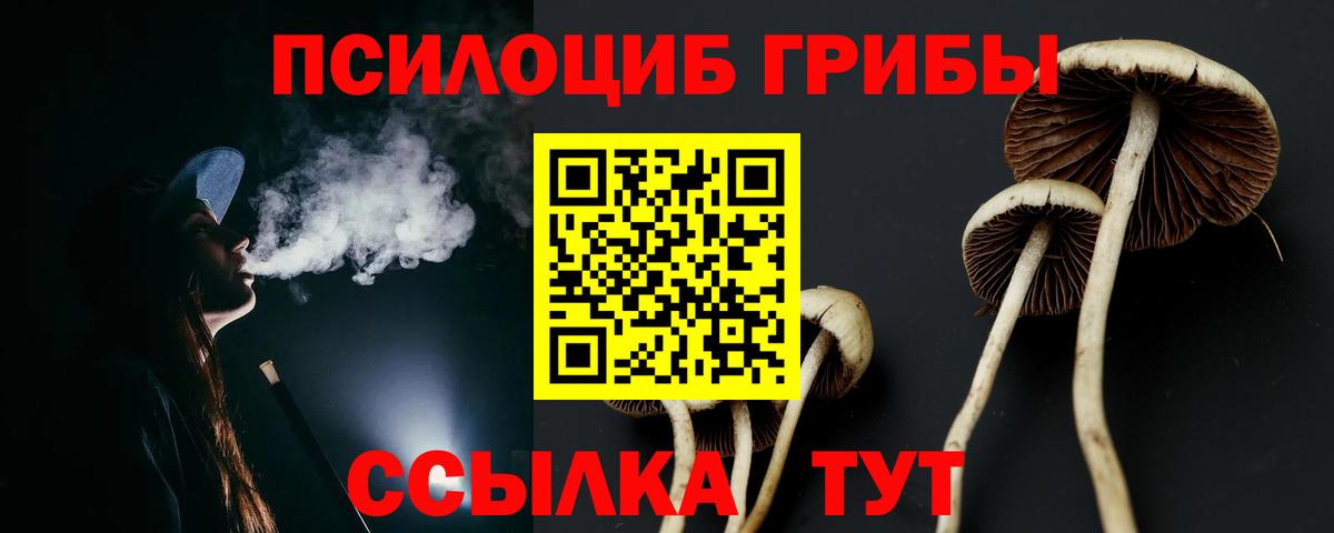 Псилоцибиновые грибы Magic Shrooms Майкоп