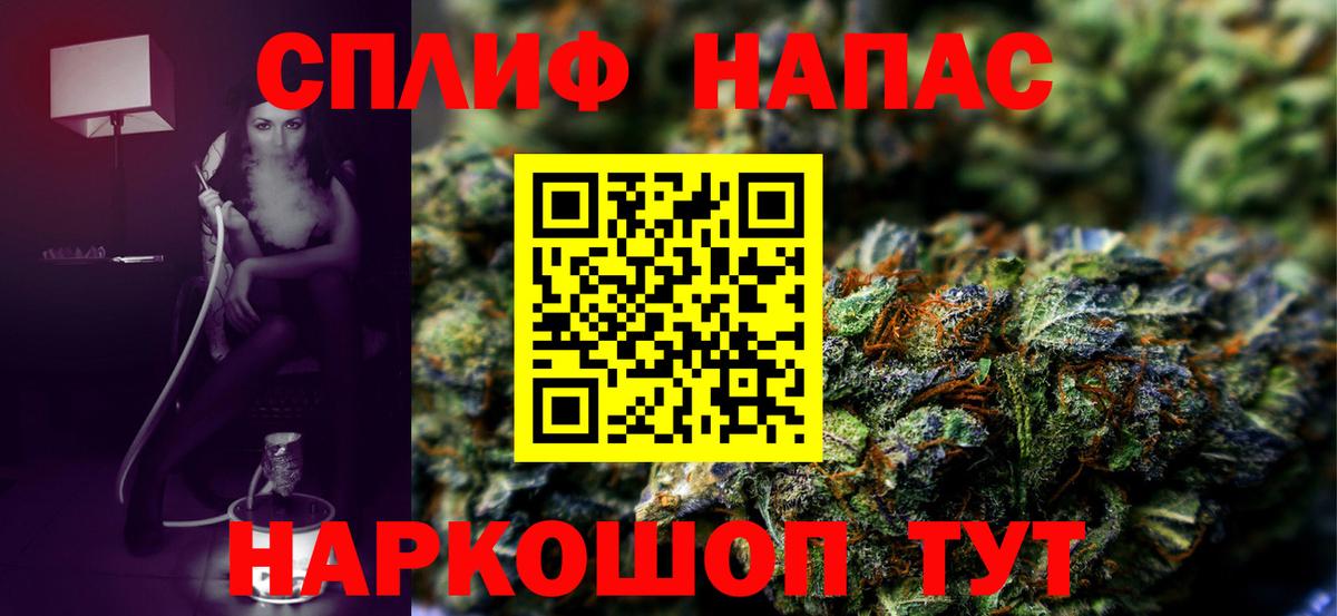 Бошки марихуана сатива Майкоп